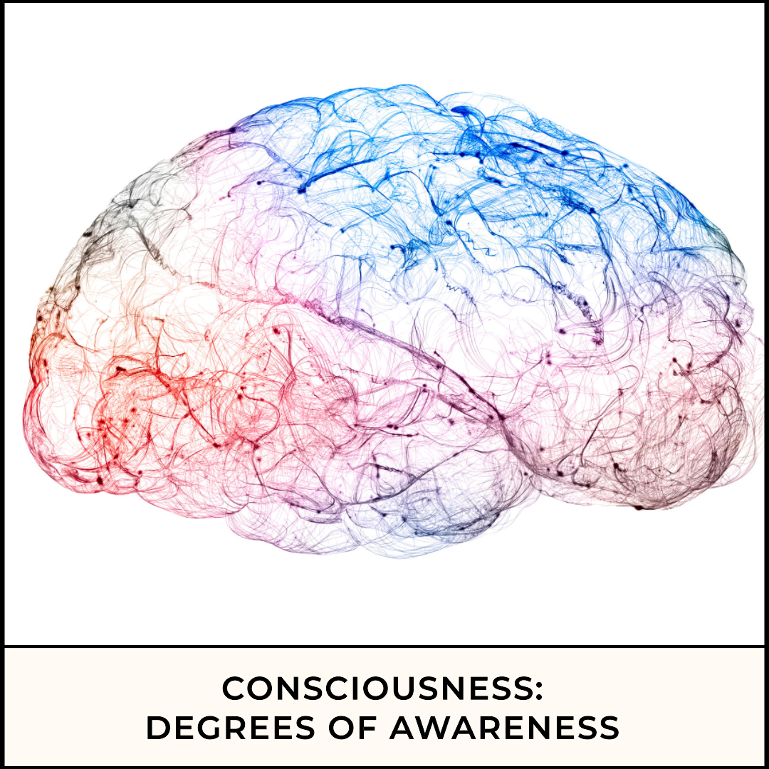The Spectrum of Consciousness: Degrees of Awareness | by