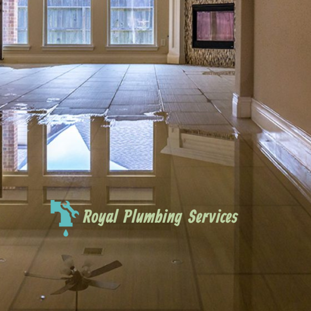 Just How Leak Detection Can Help You Stay Clear Of Mold by Royal Plumbing Services Medium
