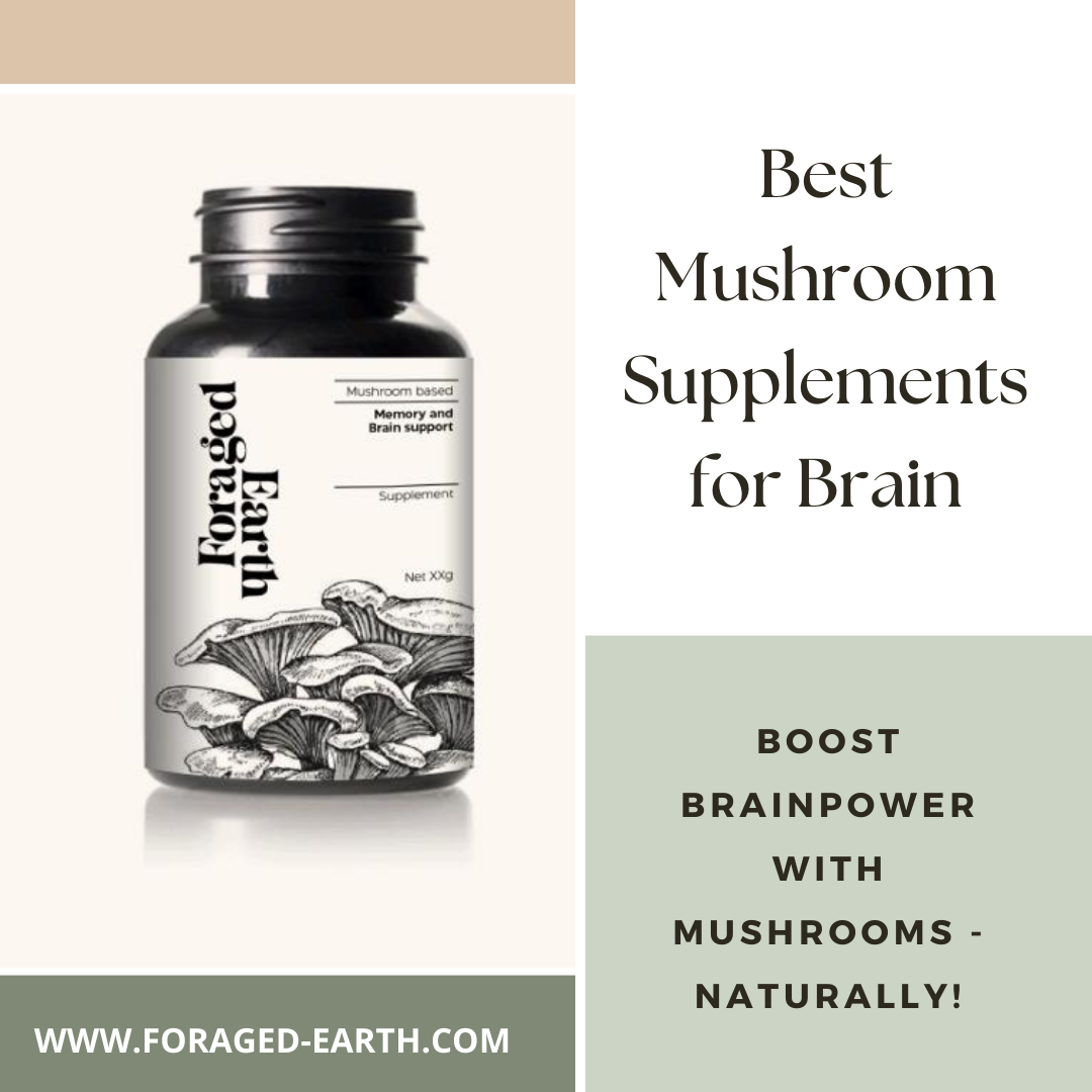 Foraged Earth Best Mushroom Supplements for Brain Health Foraged