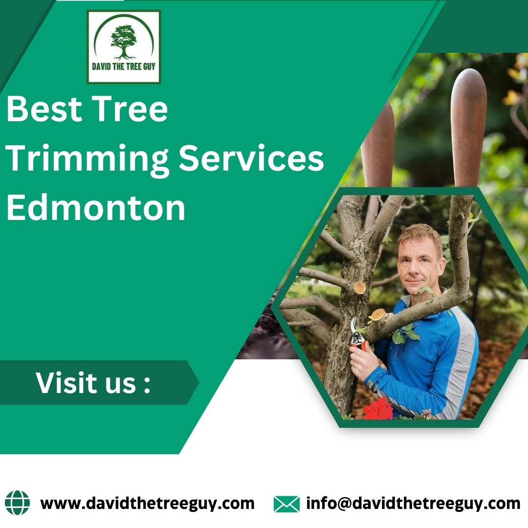 Best Tree Trimming Services Edmonton David The Tree Guy Medium
