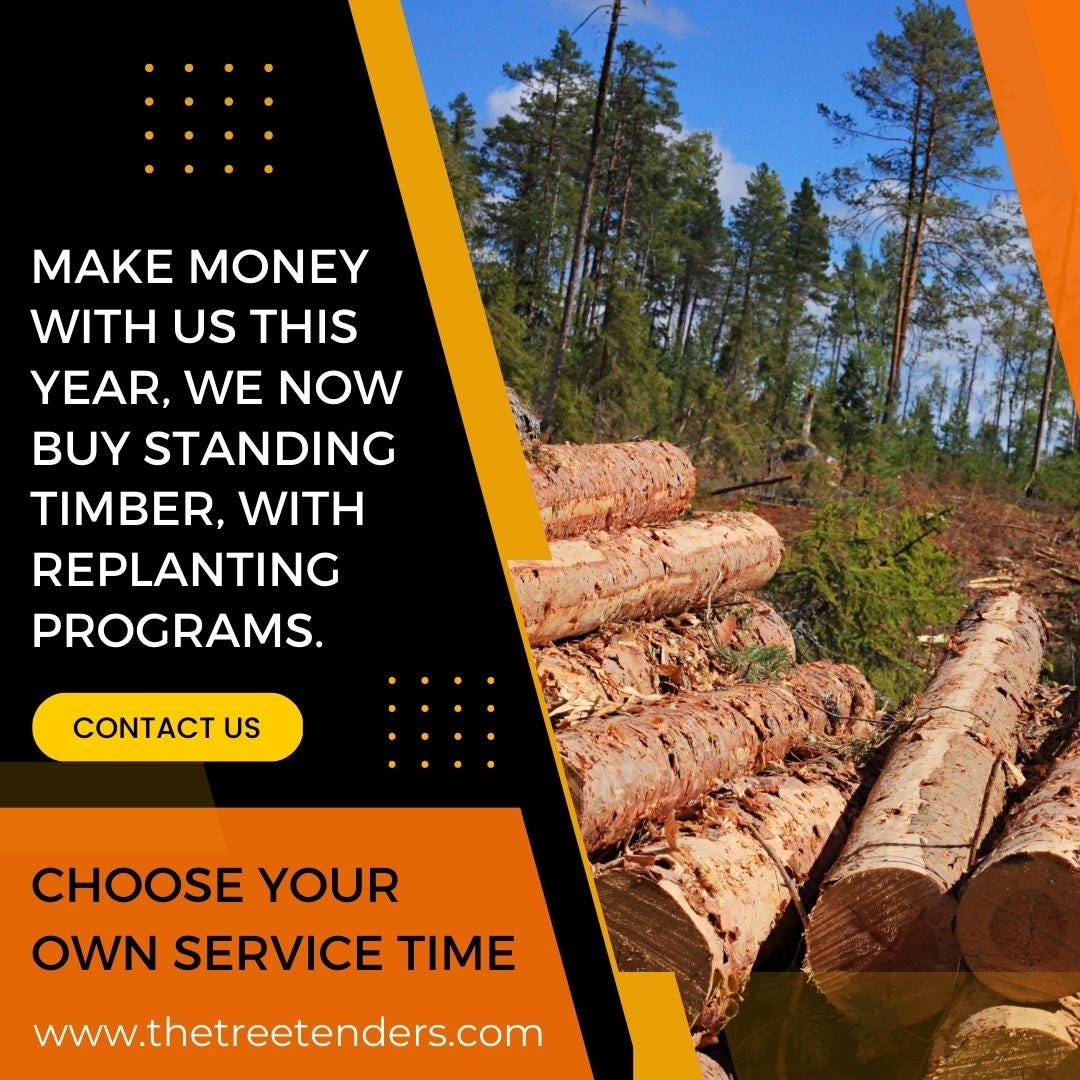 Tree Removal Near Me — Syracuse, NY by Earthtenderstreecare Jun