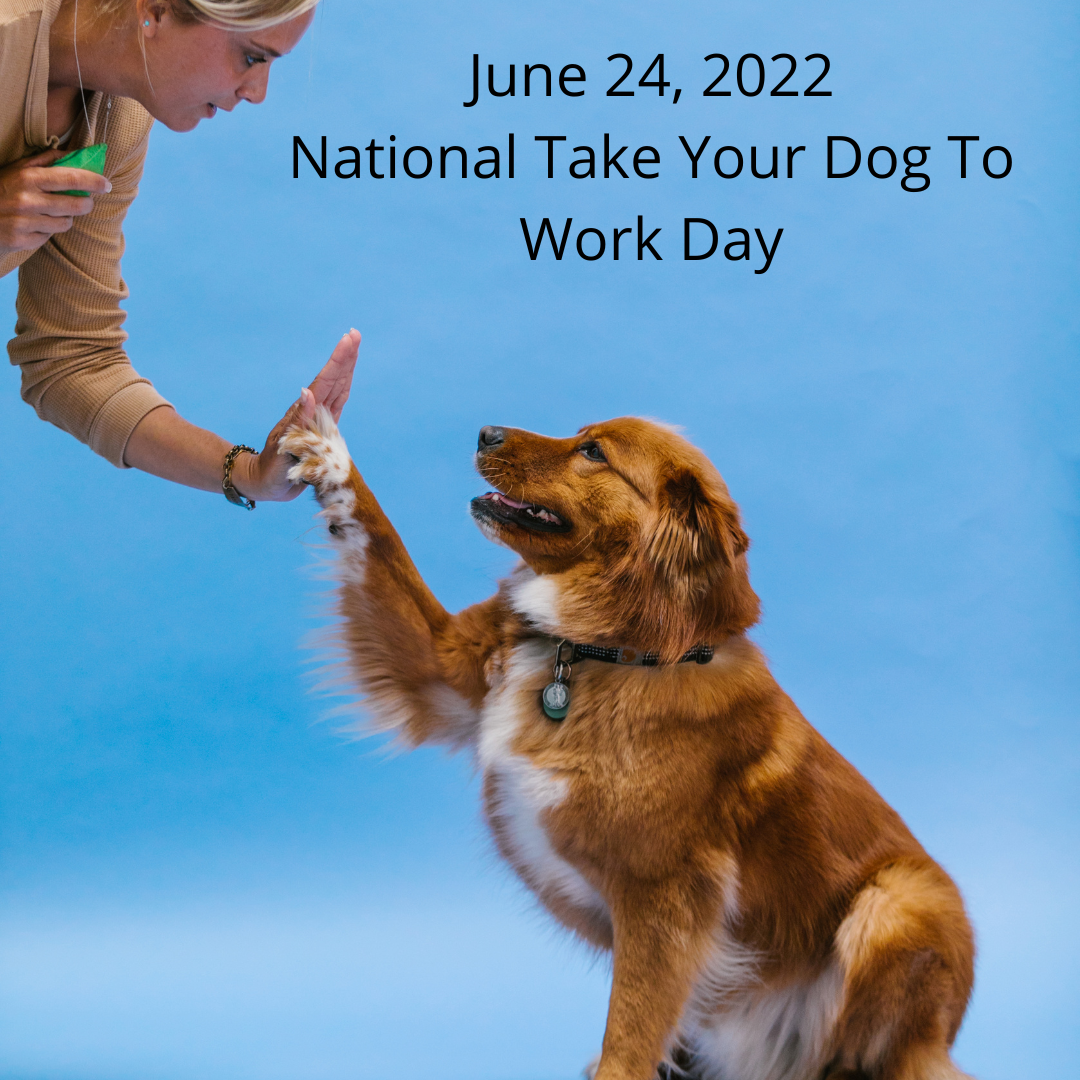Editor's pick/ take your dog to work day What Is Love To You?