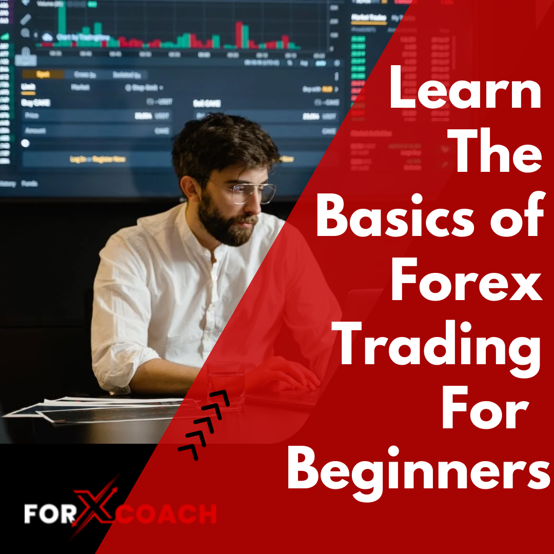 learning foreLearn The Basics of Forex Trading For Beginners ...