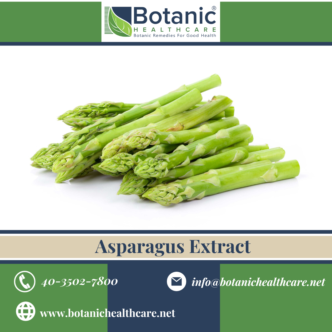 Rejuvenate Your Health with Asparagus Extract A NutrientPacked Elixir Botanic Healthcare
