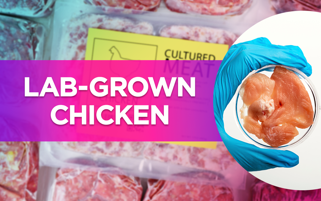 LabGrown Chicken. If you’ve been watching the headlines… by Dr