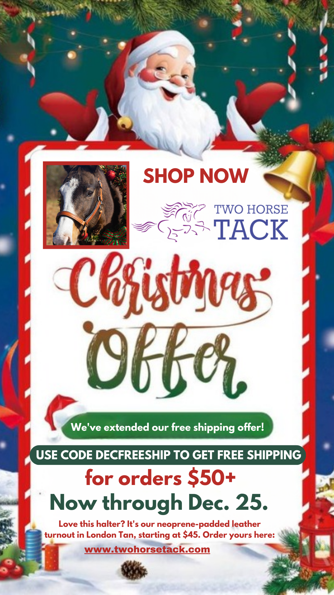 Shop Affordable & HighQuality Horse Tack Online — TwoHorseTack Two
