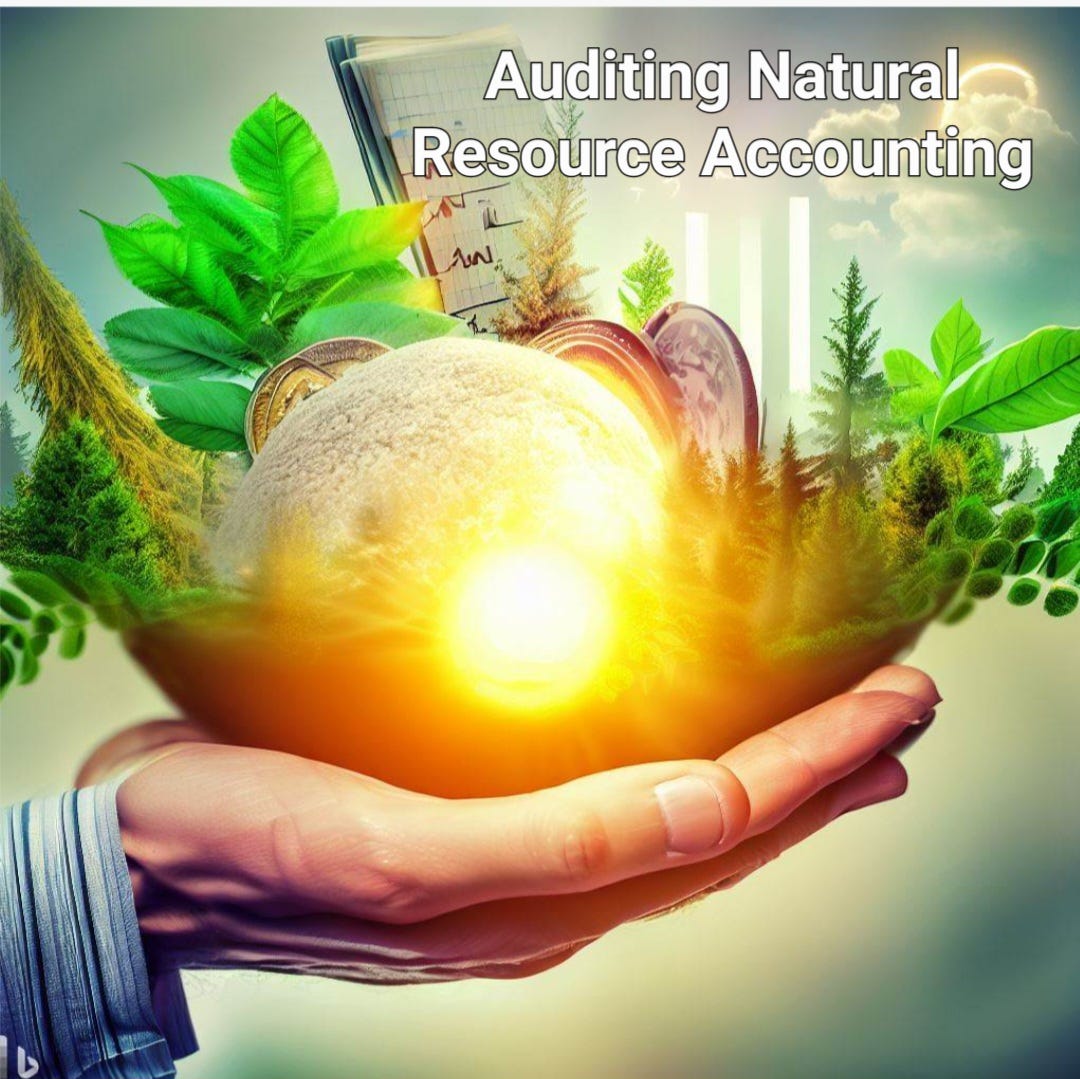The Role of Supreme Audit Institutions in Auditing Natural Resource