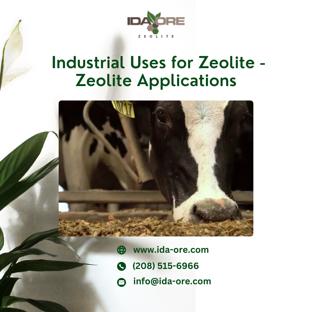 Industrial Uses for Zeolite — Zeolite Applications IdaOre Medium