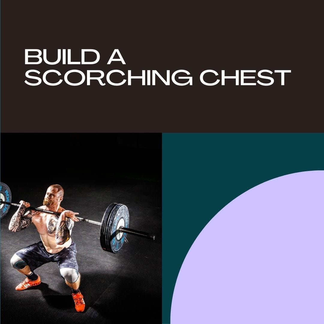 Beginner s Guide To Building Scorching Chest Shoulders And Triceps beginner-s-guide-to-building-scorching-chest-shoulders-and-triceps
