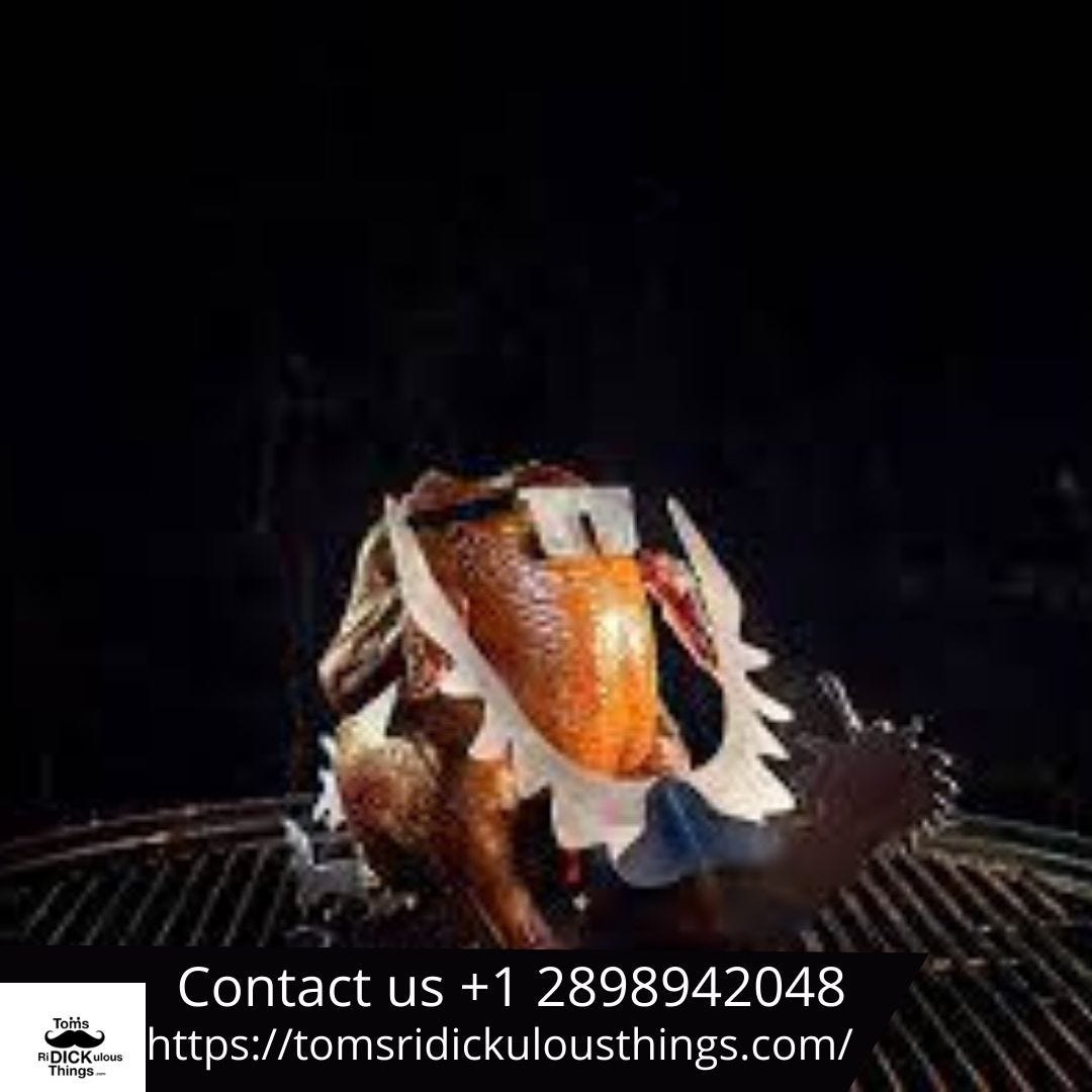 Best Beer Can Chicken Motorcycle Liquid is it really better? by Toms