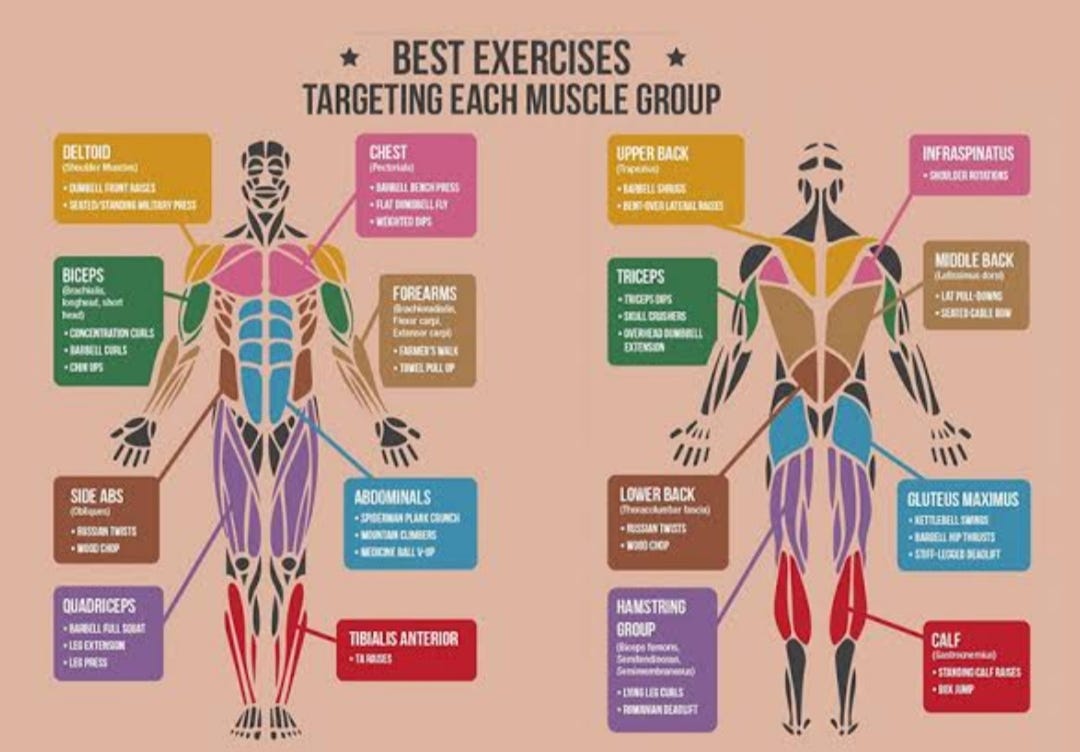 What are some lesser-known exercises that target specific muscle groups for  a well-rounded workout?, by Danish ahmed