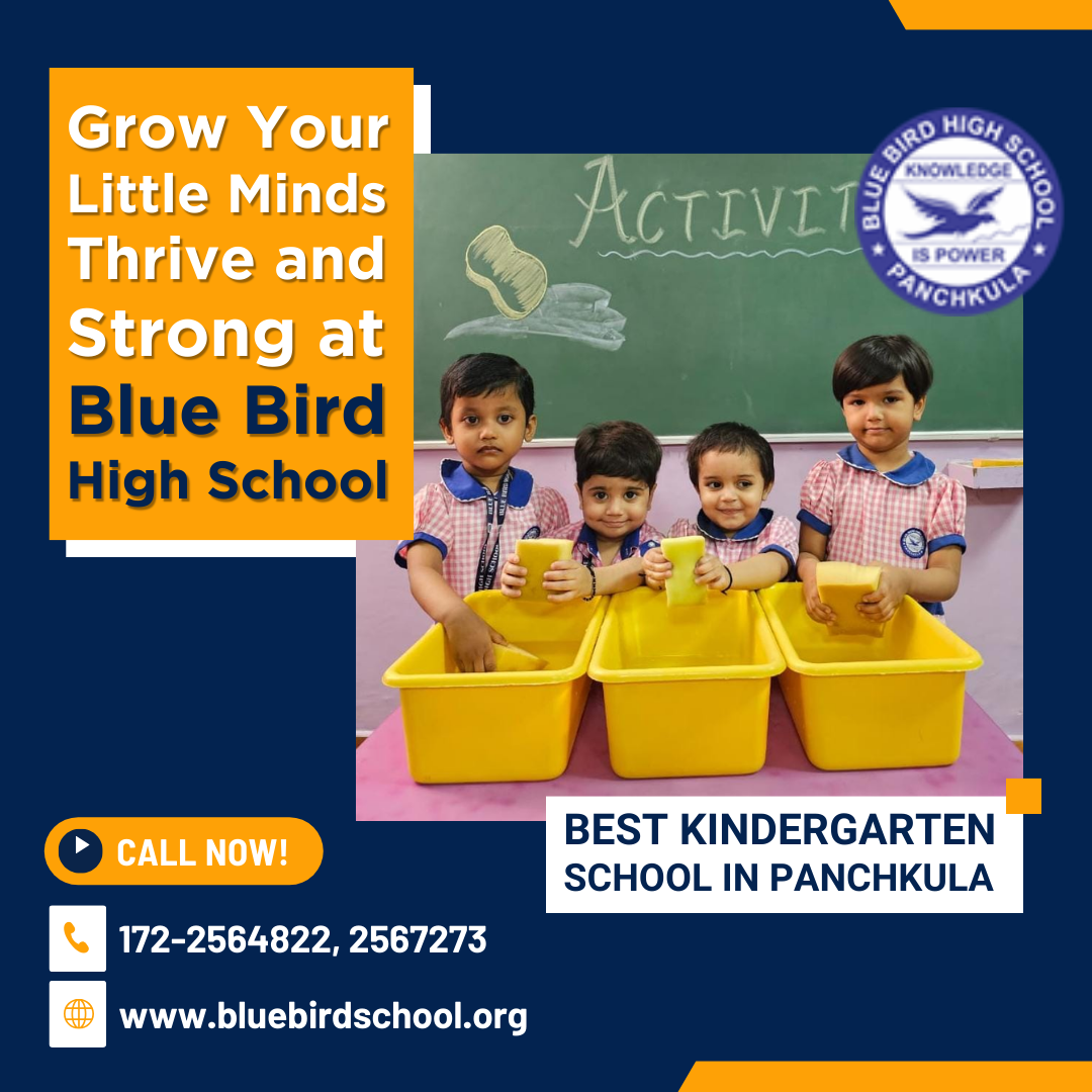 Top Rated Kindergarten School In Panchkula Blue Bird School St top-rated-kindergarten-school-in-panchkula-blue-bird-school-st