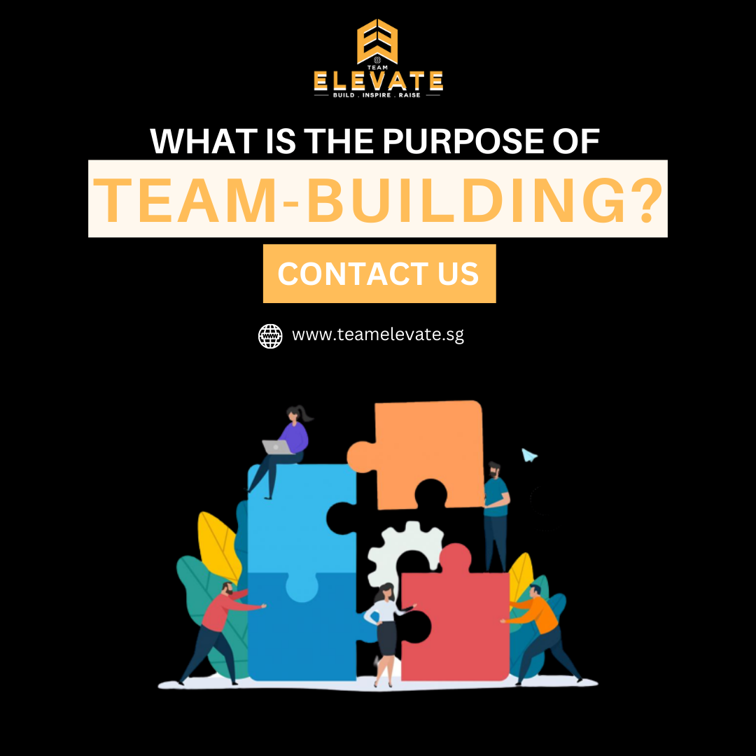 What Is the Purpose of Team Building? — Team Elevate Team Elevate