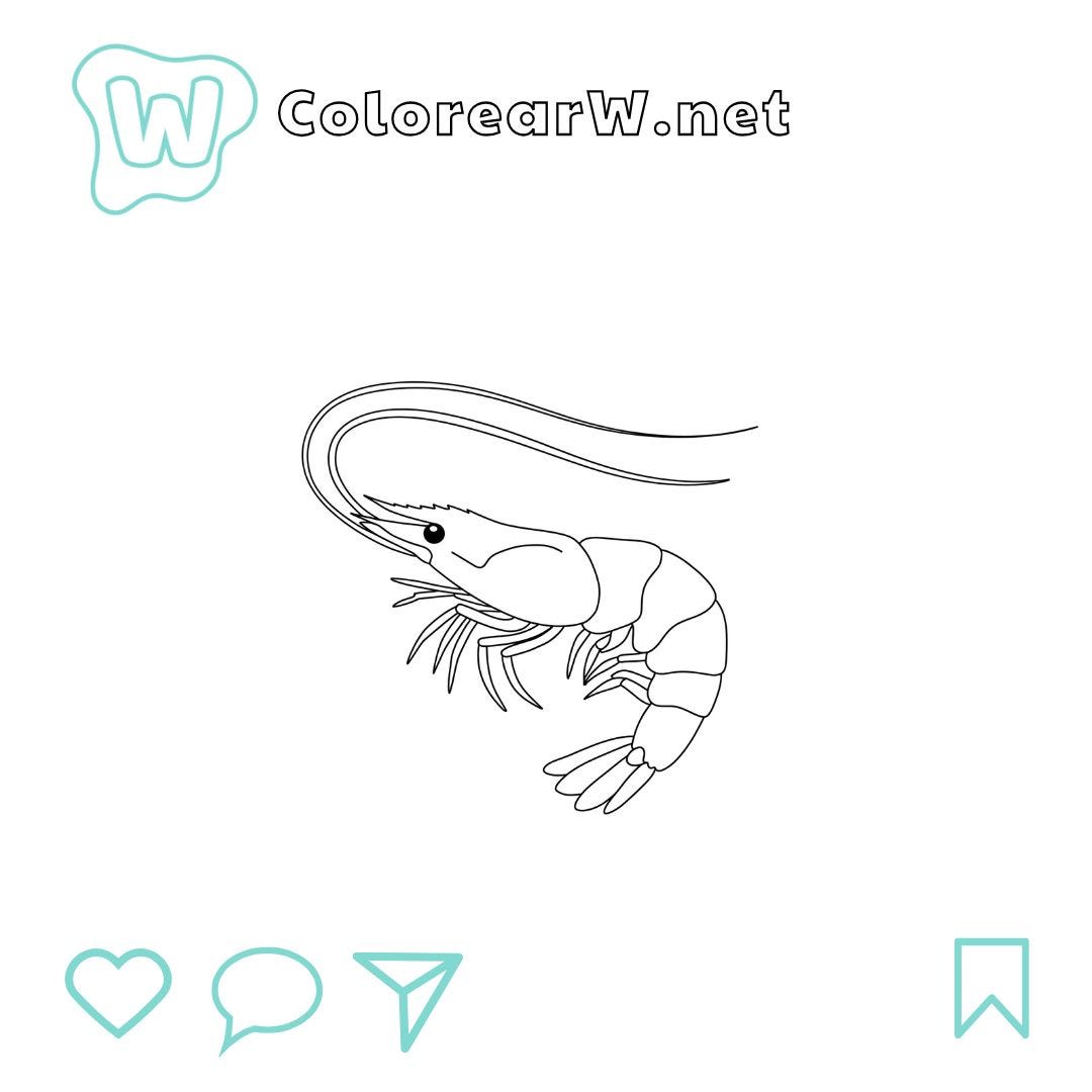 Camarones para colorear