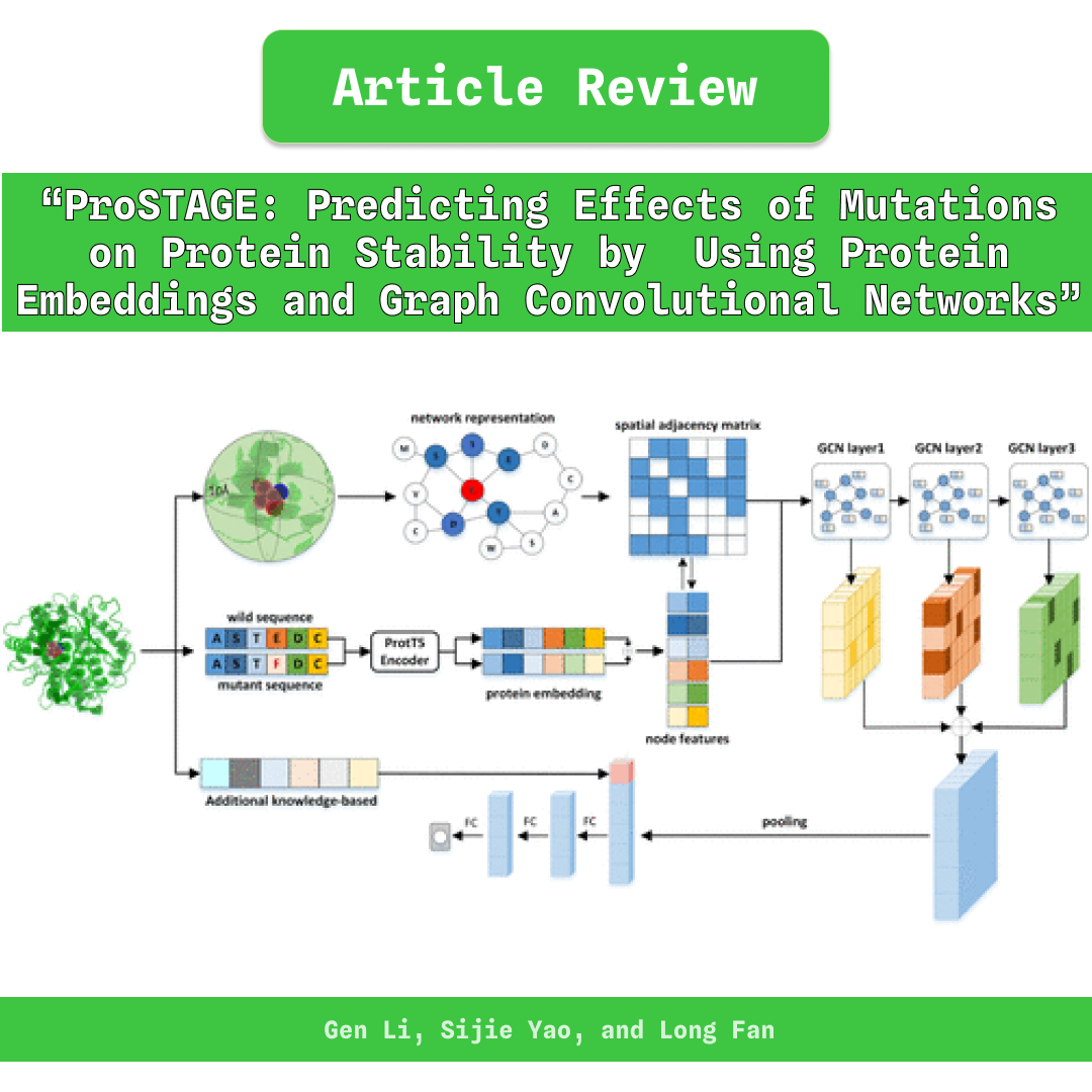 ProSTAGE Predicting Effects of Mutations on Protein Stability by Using