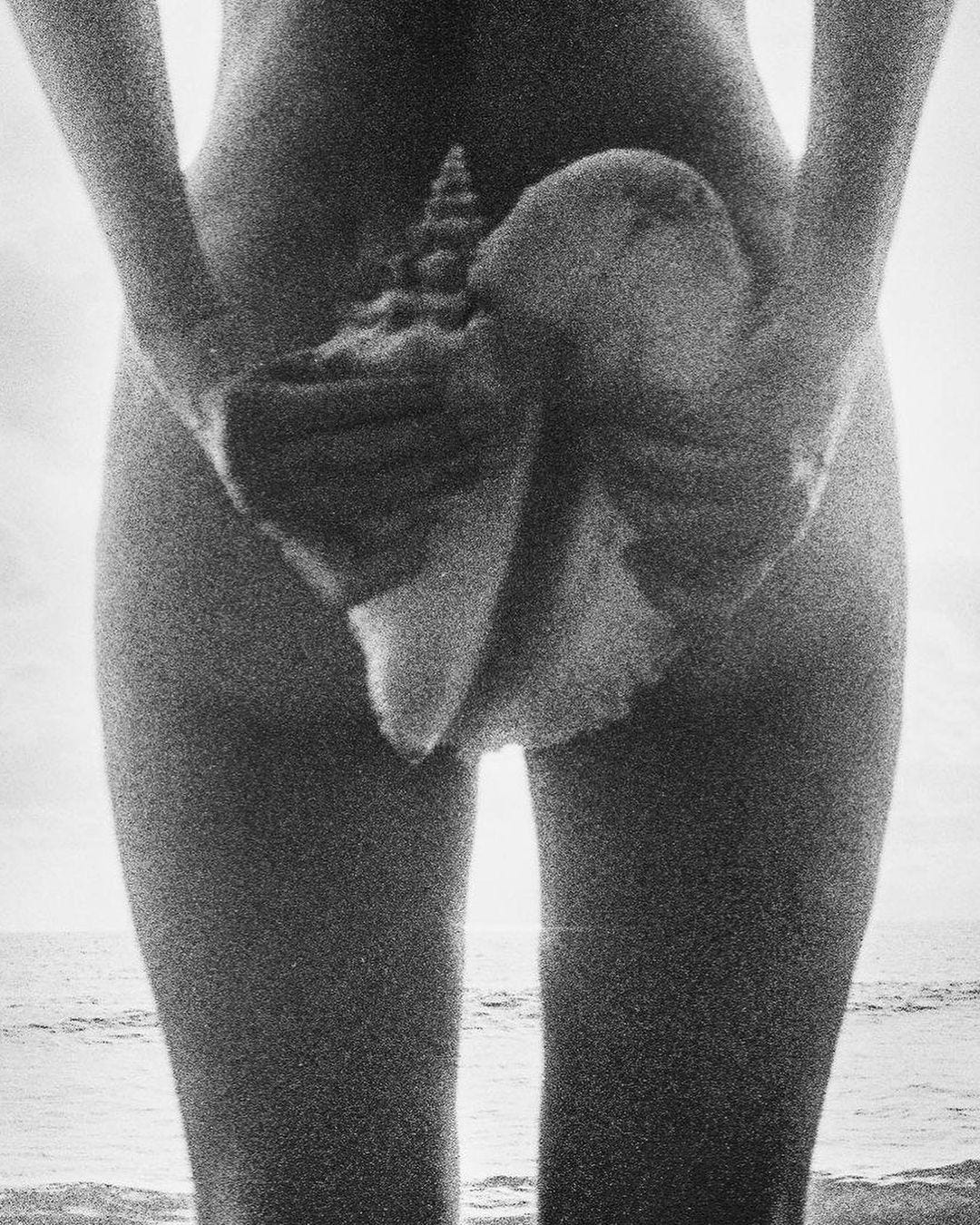 From Moodboard to Manifesto: Building a Living Aesthetic in the Age of Endless Shots