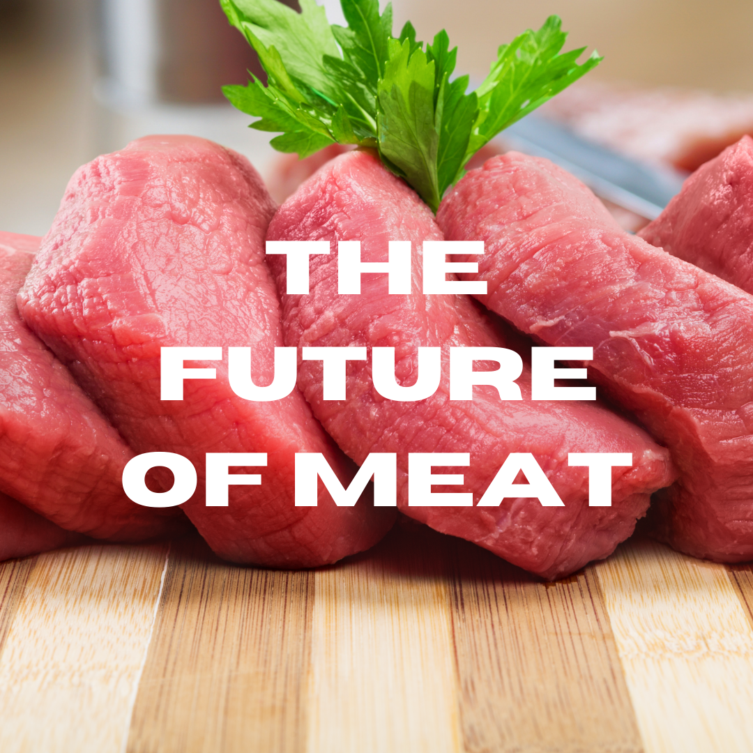 The Future of… Meat?. Yes, you read that right Meat! Today… by Rania