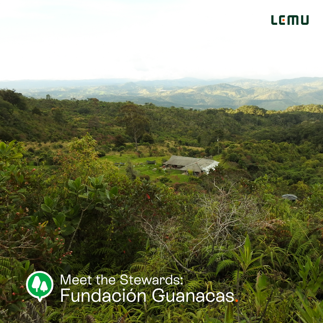 Meet the Stewards: Fundación Guanacas | Medium