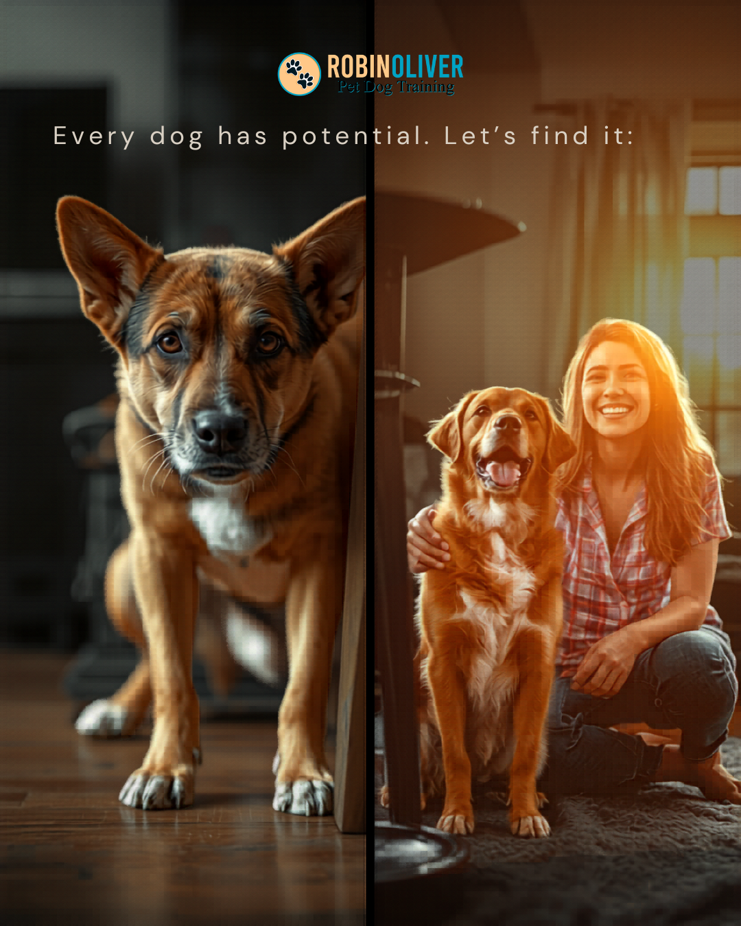 Every dog has potential. Let’s find it.