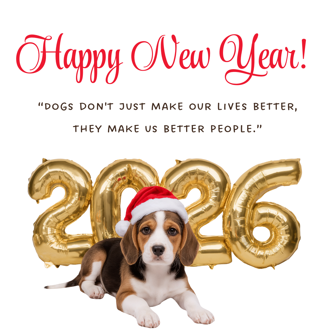 Happy New Year 2026 To All Dog Lovers Around The World