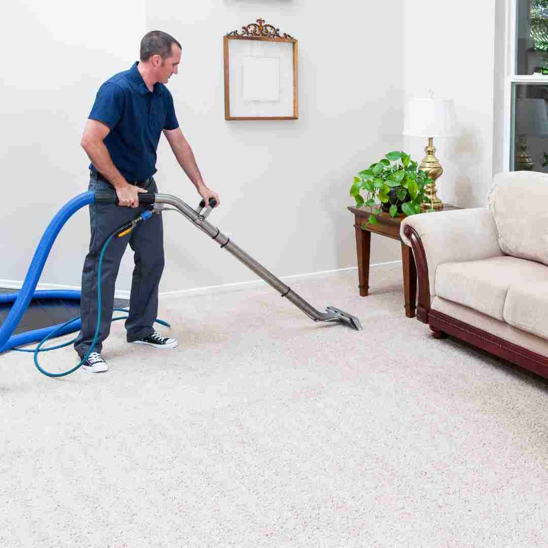 Revitalize Your Home The Ultimate Guide to Professional Carpet