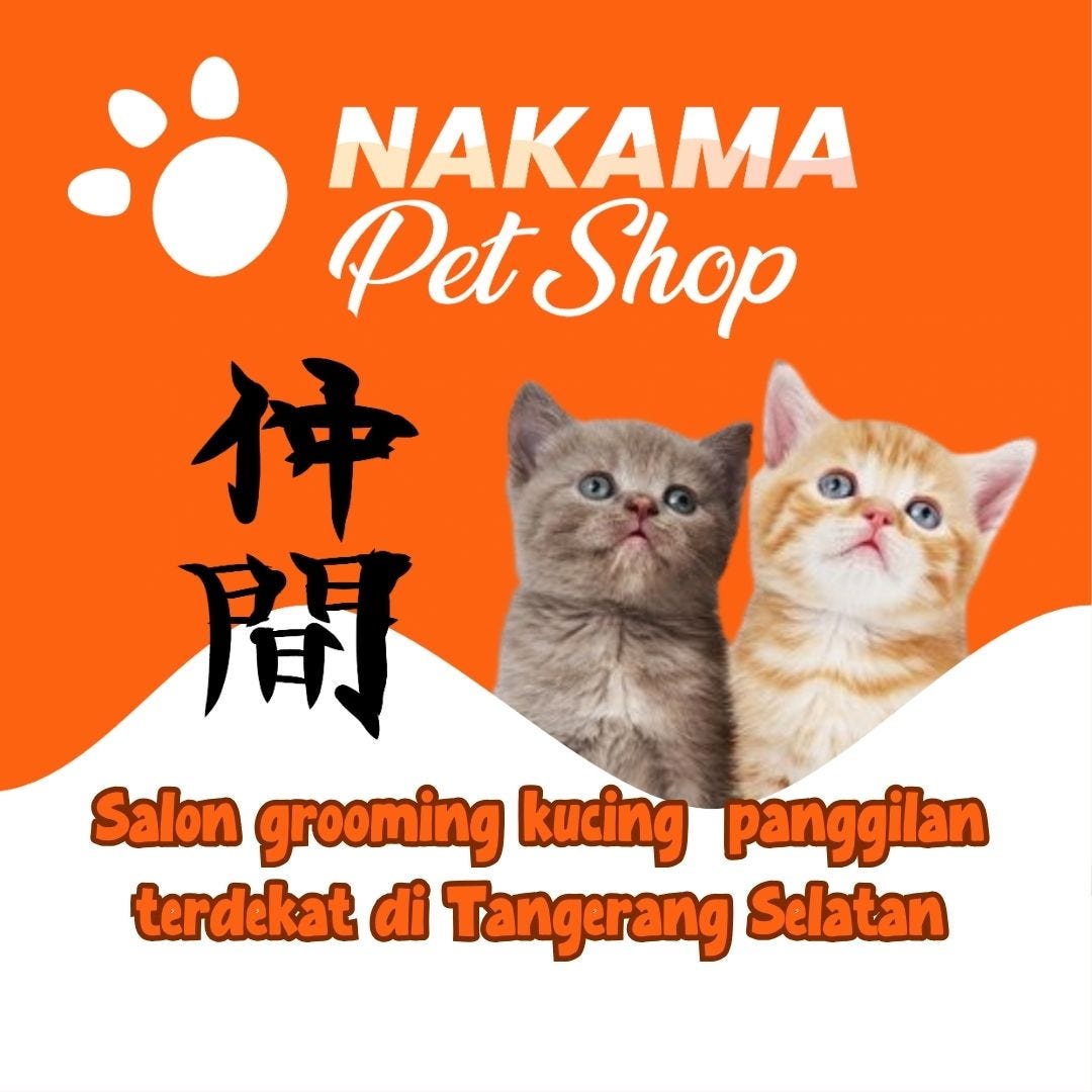 081919889899 (HALUS GLOWING), Tempat grooming cat Pinang panggilan