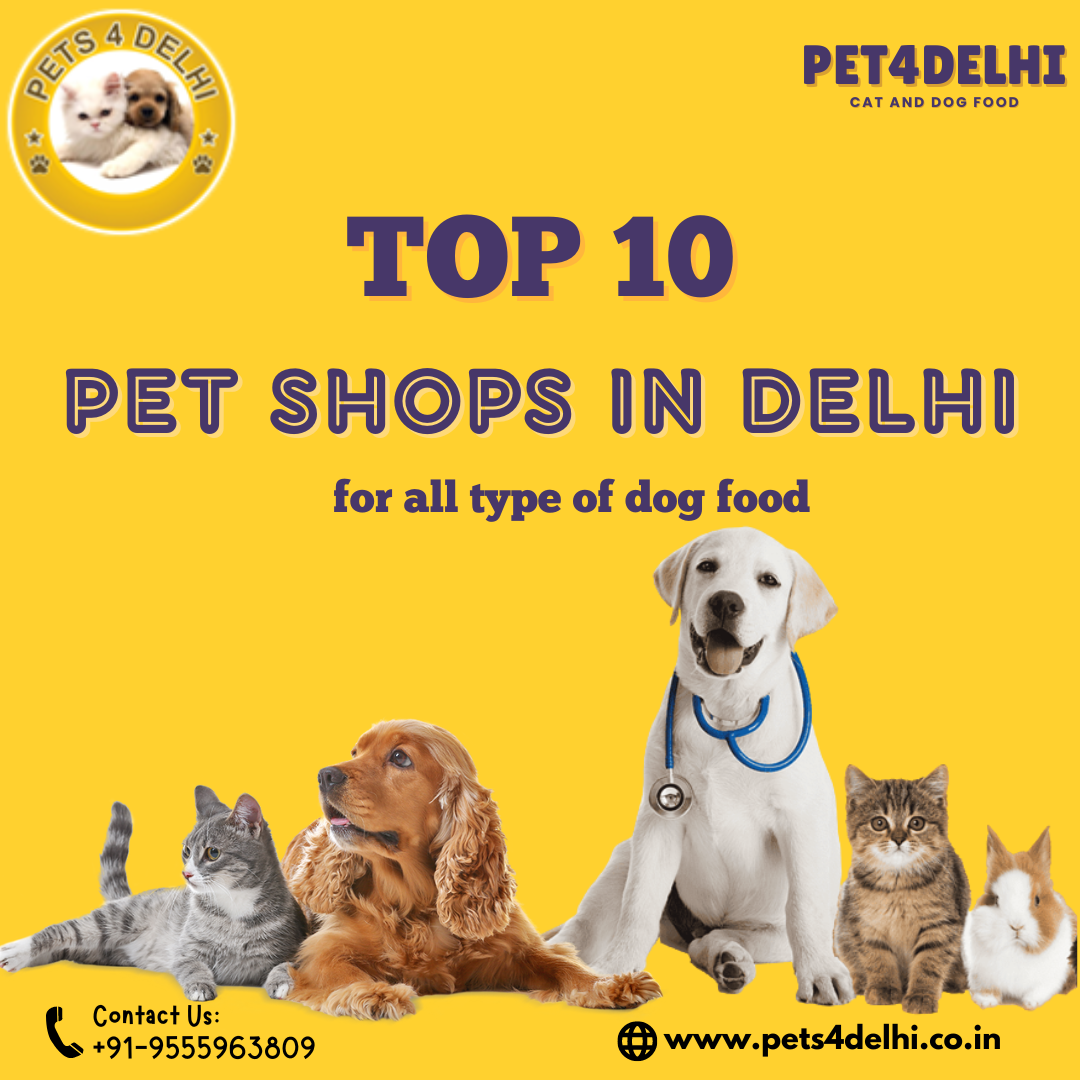 Best Pets Shops in Delhi, Pets Store in South Delhi, pet shop delhi