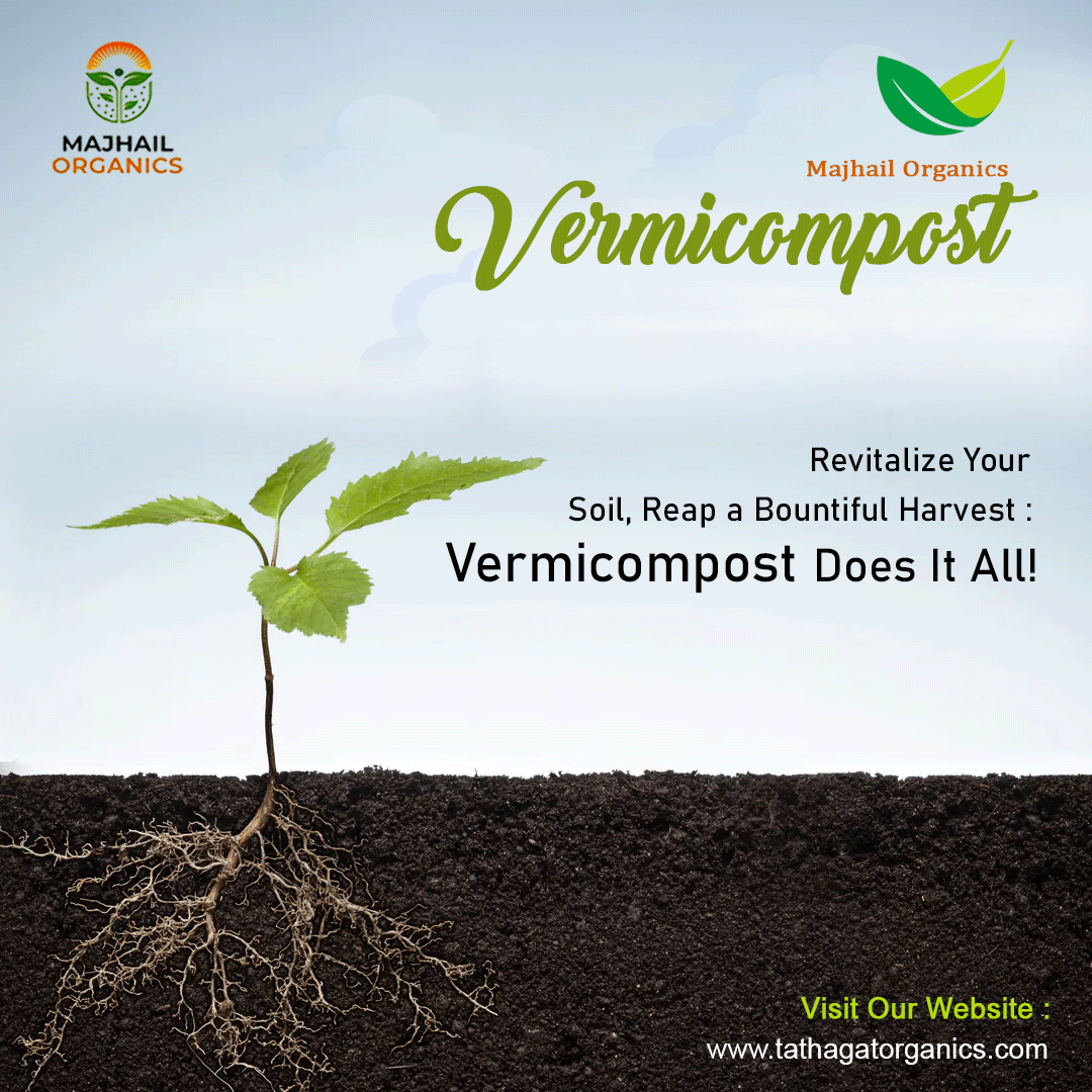 Discover the Best in India A Buyer’s Guide by Kalpana