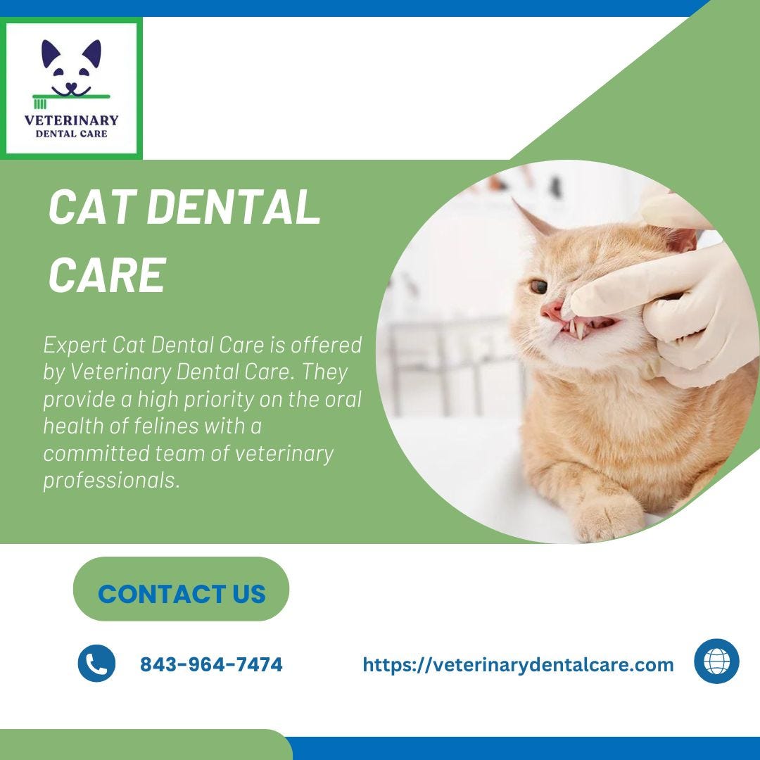 Best Services For Cat Dental Care Veterinary Dental Care Veterinary