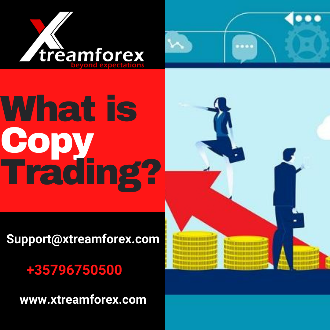 What is Copy Trading In copy trading, you need to follow other trader’s