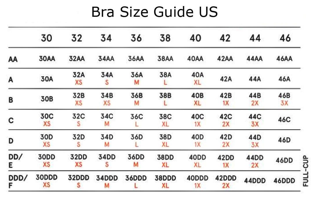 Bust cup size diagram – Charts