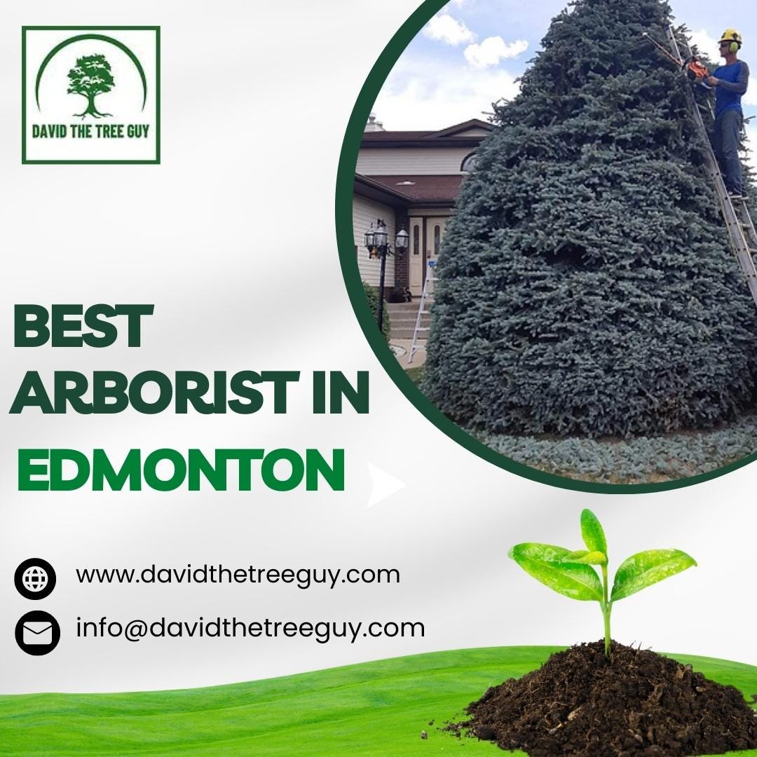 Best Arborist in Edmonton David The Tree Guy Medium