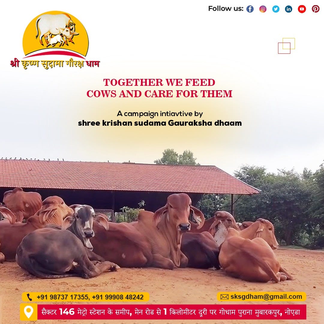 Join us in our campaign to nurture and protect mother cows where we are