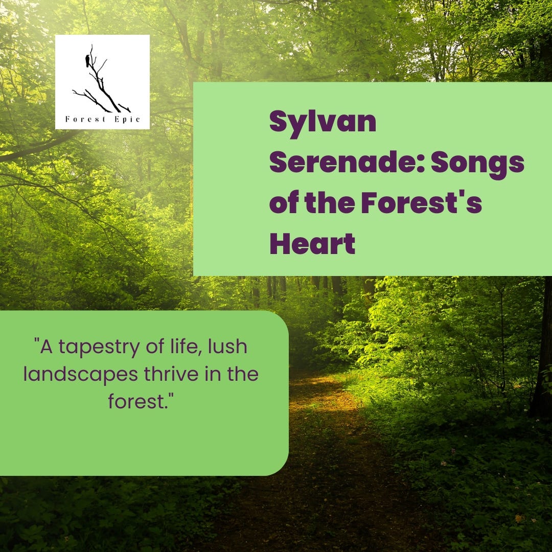 Sylvan serenade songs of the forest heart william s medium
