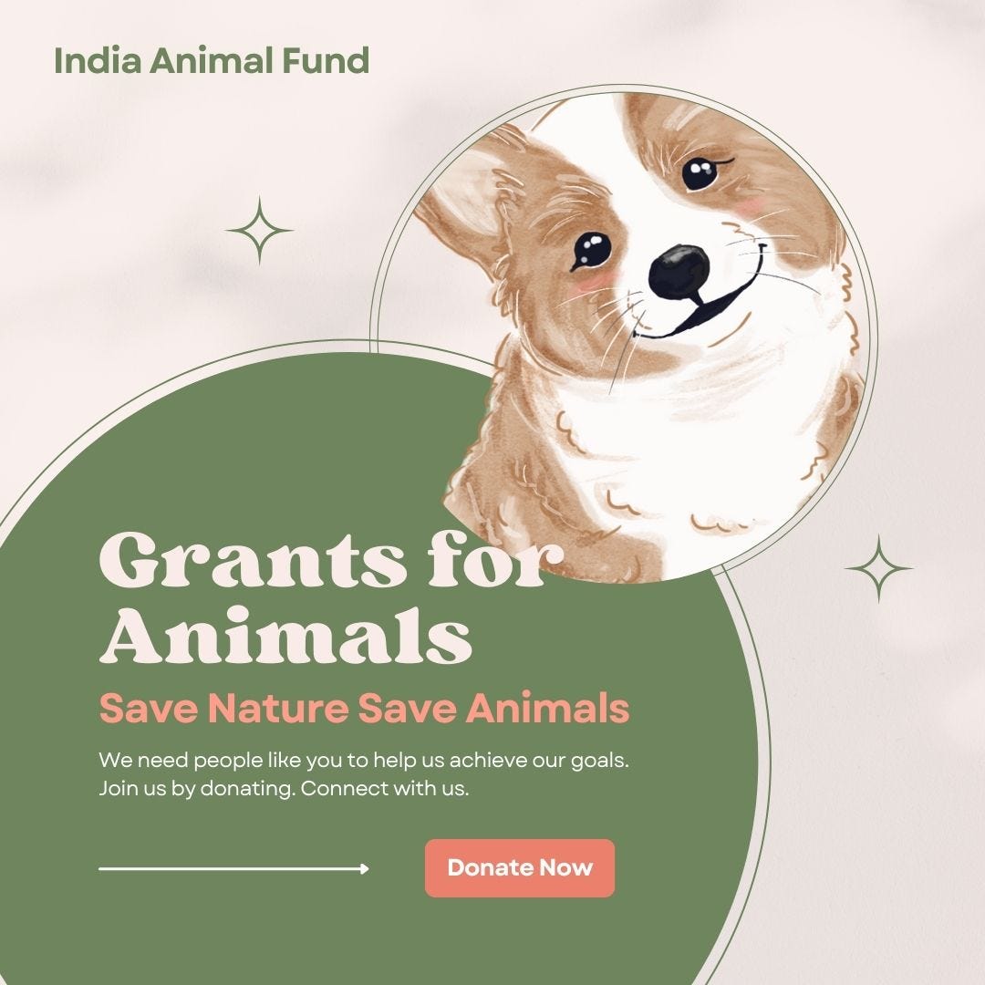 Grants for Animal Welfare Innovations and Solutions by