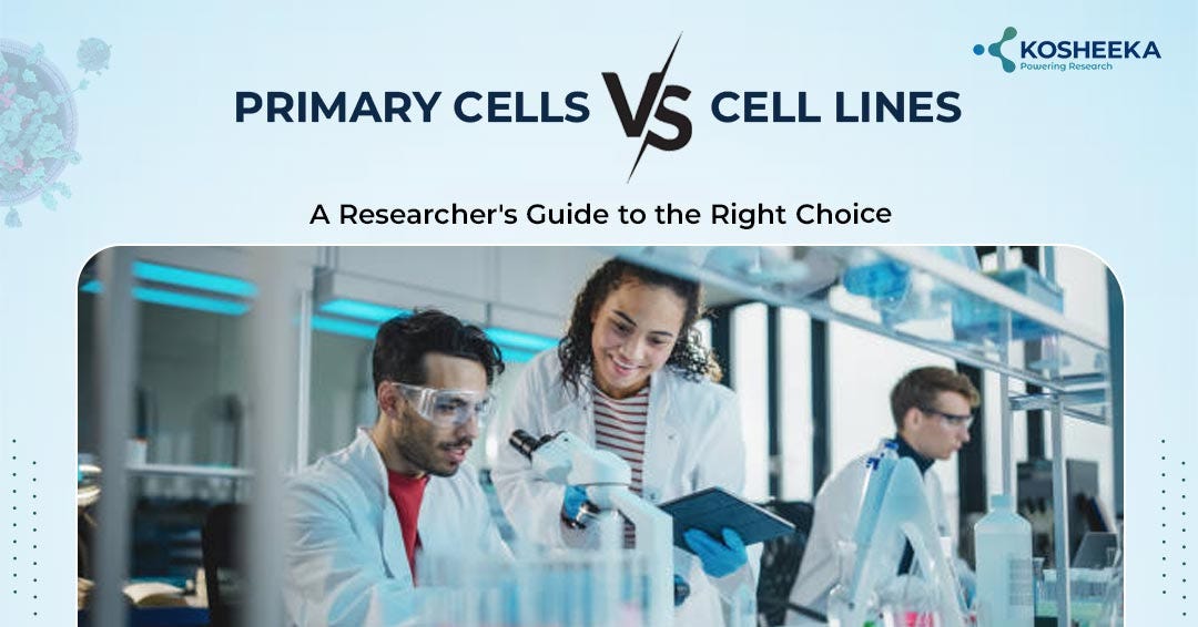 Primary Cells Versus Cell Lines: A Researcher’s Guide to the Right Choice