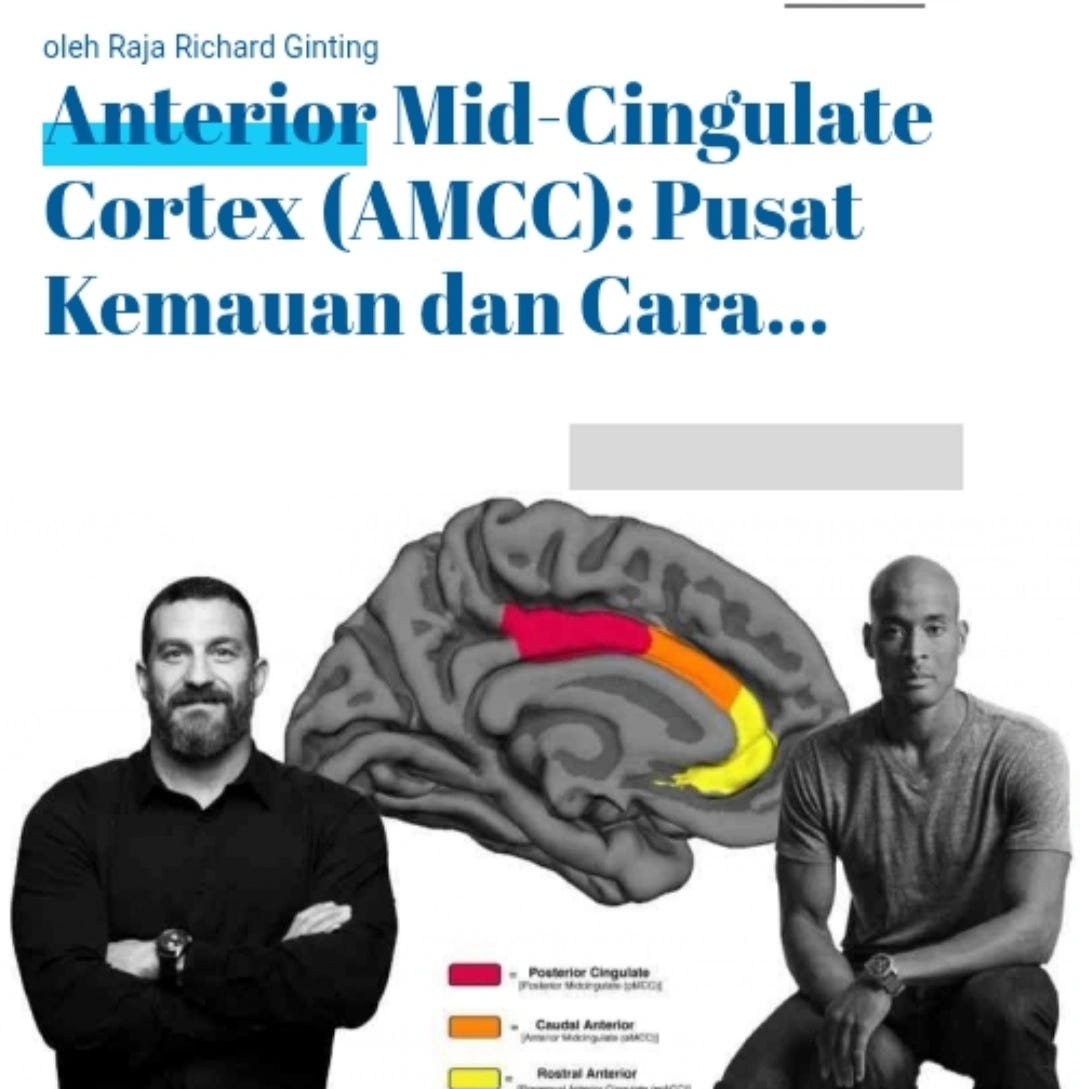 Anterior Mid-Cingulate Cortex (AMCC): Pusat Kemauan dan Cara Mengaktifkan Otot Ketekunan (Tidak Ada…