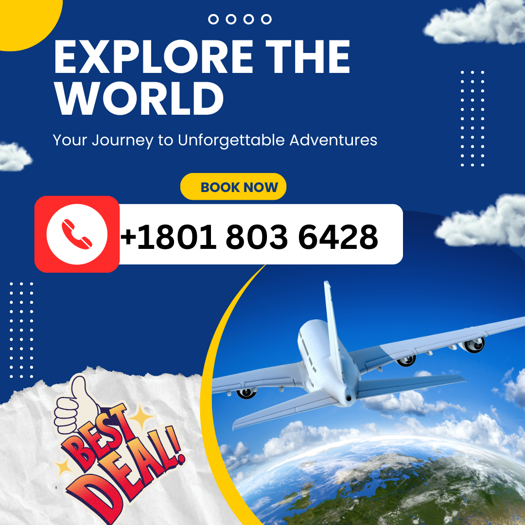 How Do I Talk To A Real Person At ☎️ American Airlines? Quick Assist