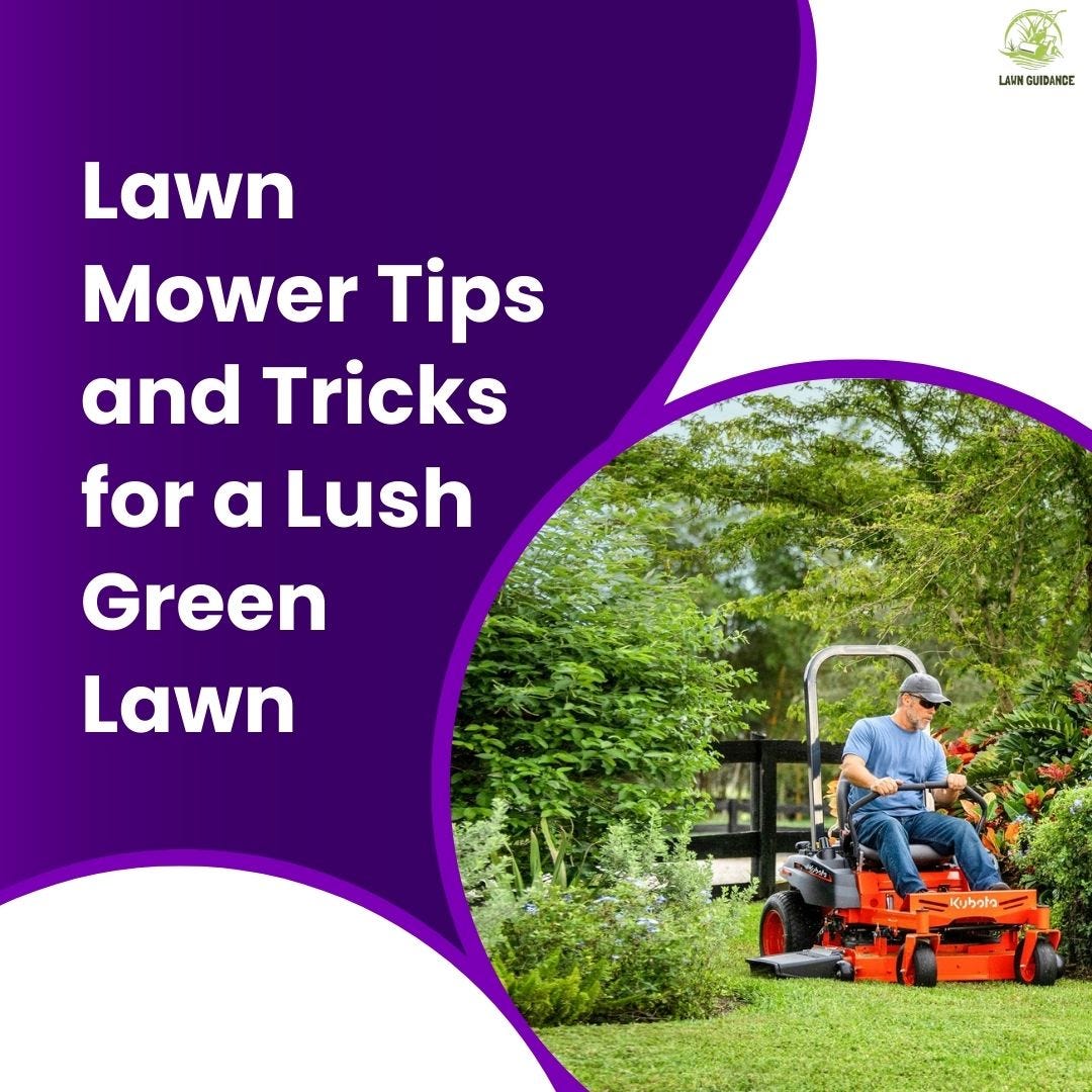 Lawn Mower Tips and Tricks for a Lush Green Lawn “Lawn Mower Tips and
