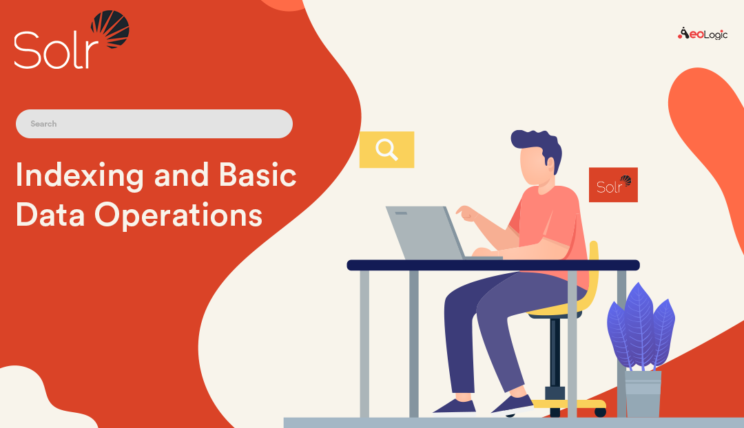 Ultimate Solr Guide:#11 All About Indexing and Basic Data Operations ...