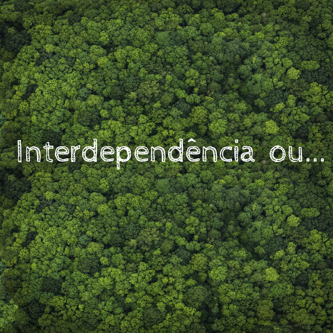 Primeiro de Julho