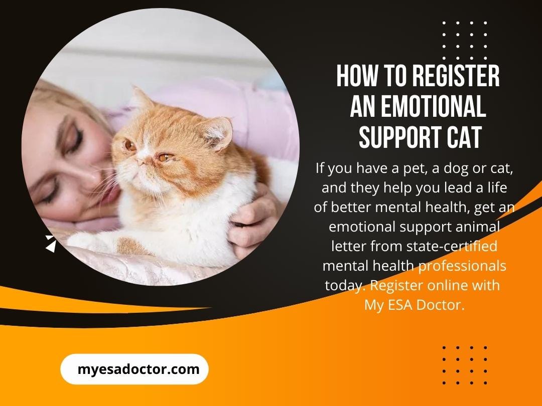 How to Register an Emotional Support Cat Myesadoctor Medium