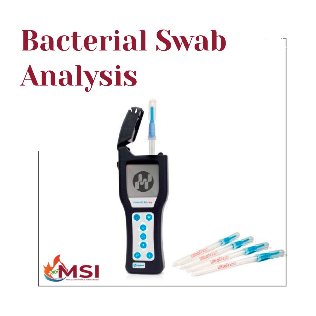 Bacterial Swab Analysis Mold Solutions & Inspections Medium