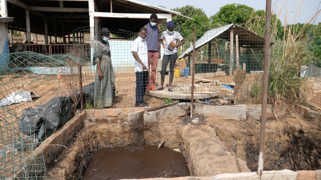 Projet BIOGAZ: près de 1 600 biodigesteurs installés dans 135 communes rurales de la Guinée