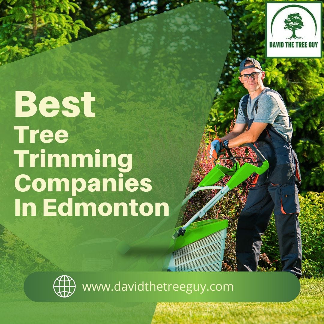 Best Tree Trimming Companies In Edmonton David The Tree Guy Medium