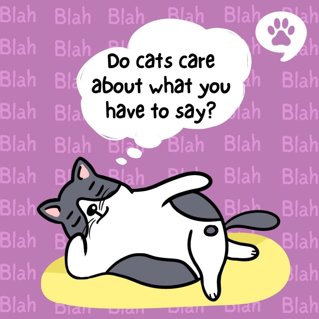 Do cats care about what you have to say? by thepawtalks Medium