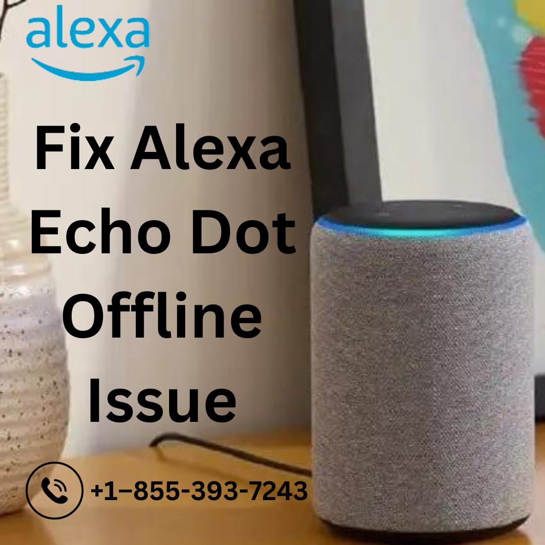 Fix Alexa Echo Dot Offline Issue, +1–855-393-7243