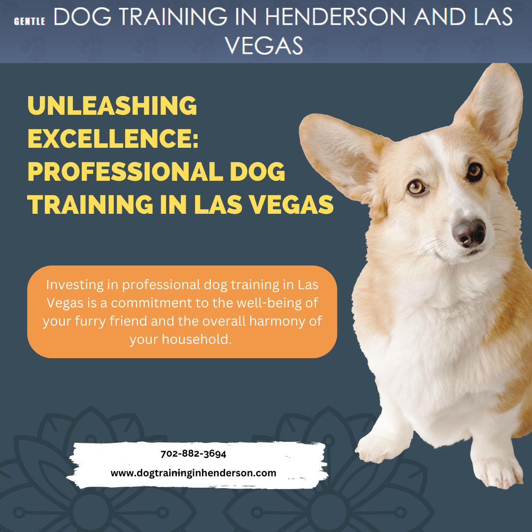 Unleashing Excellence Professional Dog Training in Las Vegas by