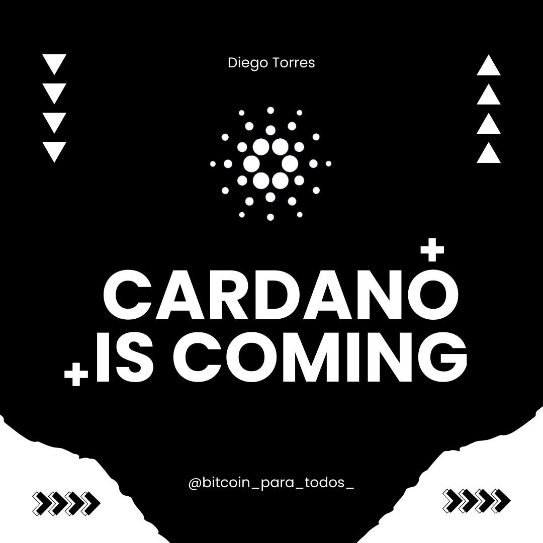 Cardano is coming & MAYZ does the heavy lifting | by Diego Torres Borda |  Medium