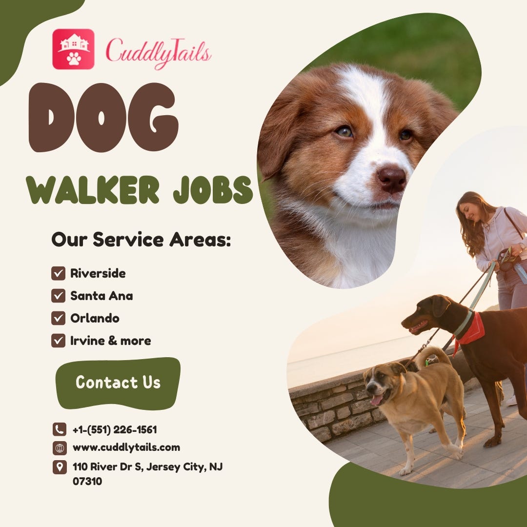 Discover Rewarding Dog Walker Jobs in Frisco, TX with Cuddly Tails | by  Cuddlytails | Aug, 2023 | Medium